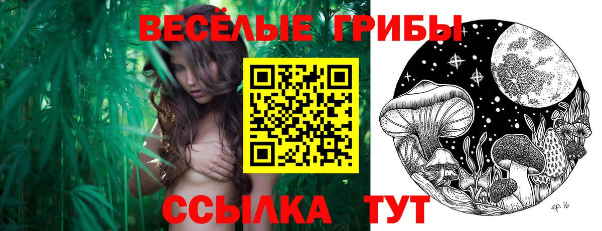 Псилоцибиновые грибы ЛСД Берёзовский
