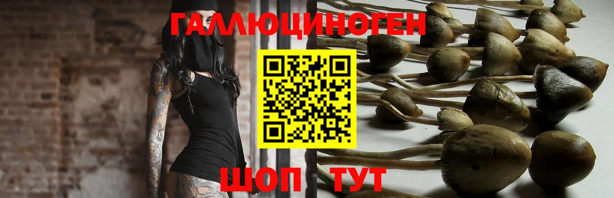 Берёзовский  Псилоцибиновые грибы прущие грибы  Вход с VPN 